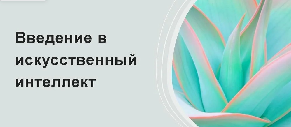 Введение в искусственный интеллект (Юшаев С.С.)
